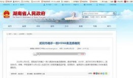 武冈新闻爆料最新视频,视频揭秘事件真相